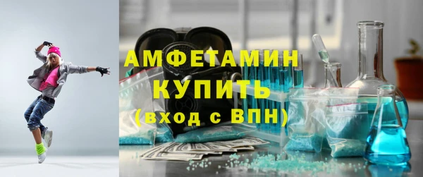 индика Елабуга