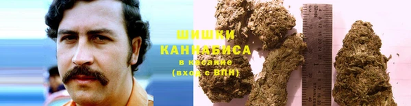 гашик Дмитровск