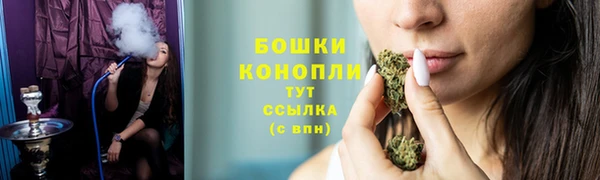 гашик Дмитровск