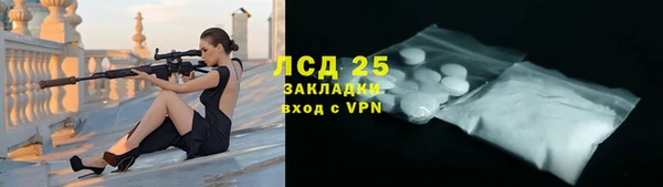 гашик Дмитровск