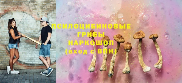 гашик Дмитровск