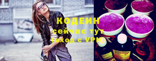 гашик Дмитровск
