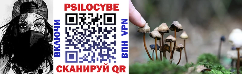 Псилоцибиновые грибы MAGIC MUSHROOMS  Купить  Острогожск 